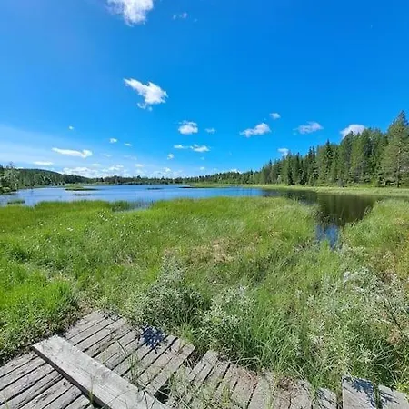 Hullun Mustikka Saukkopari