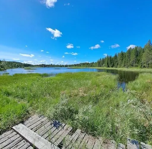 Hullun Mustikka Saukkopari