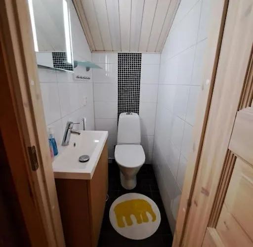 샬레 Hullun Mustikka Saukkopari