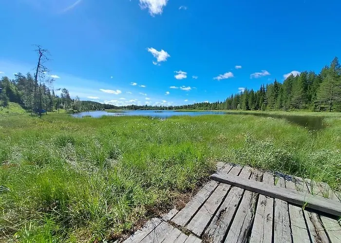 Hullun Mustikka Saukkopari 샬레 *