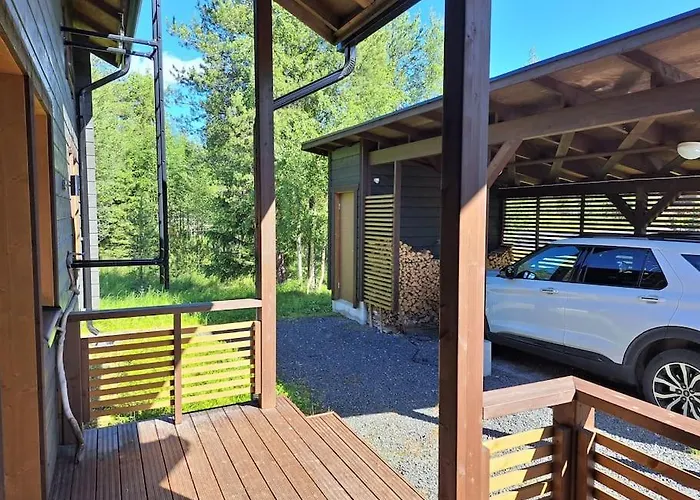 Hullun Mustikka Saukkopari 루카